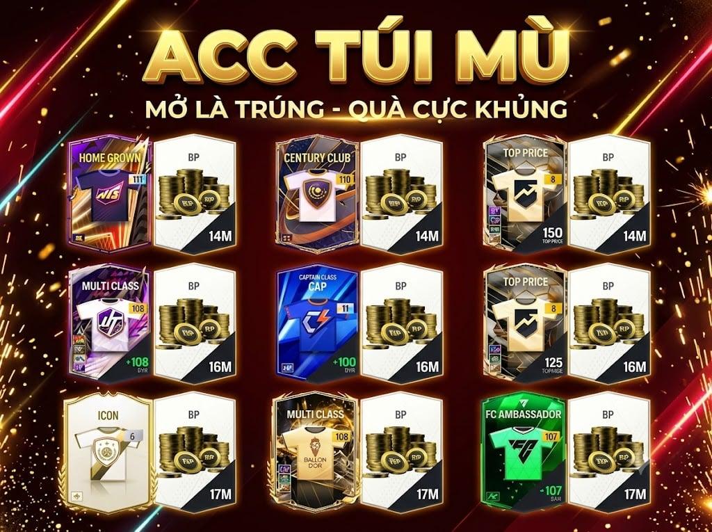 ACC TÚI MÙ 555K